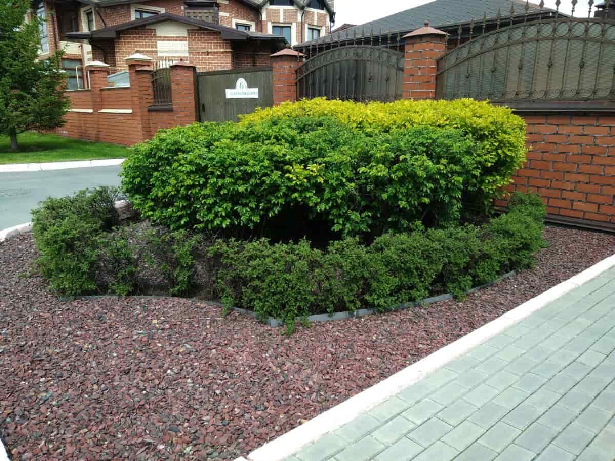 п. Александровский сад