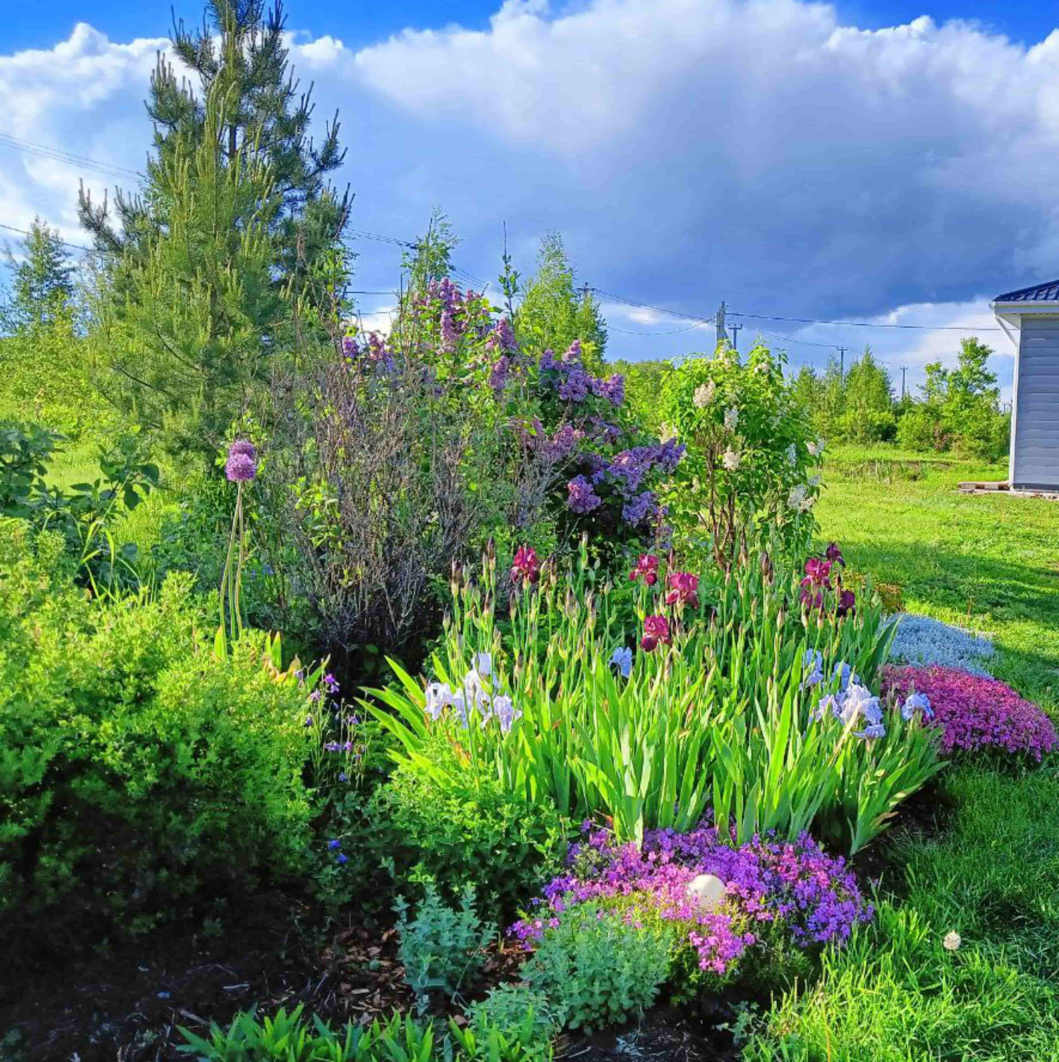 Изображение 5