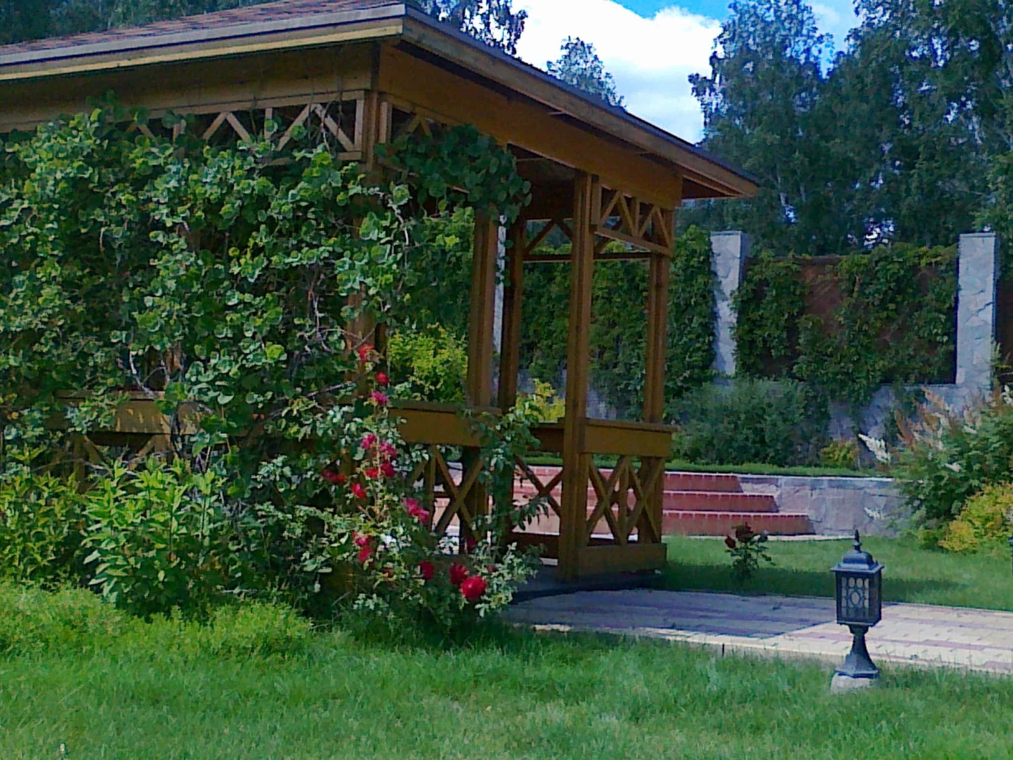 Декоративные посадки у террасы