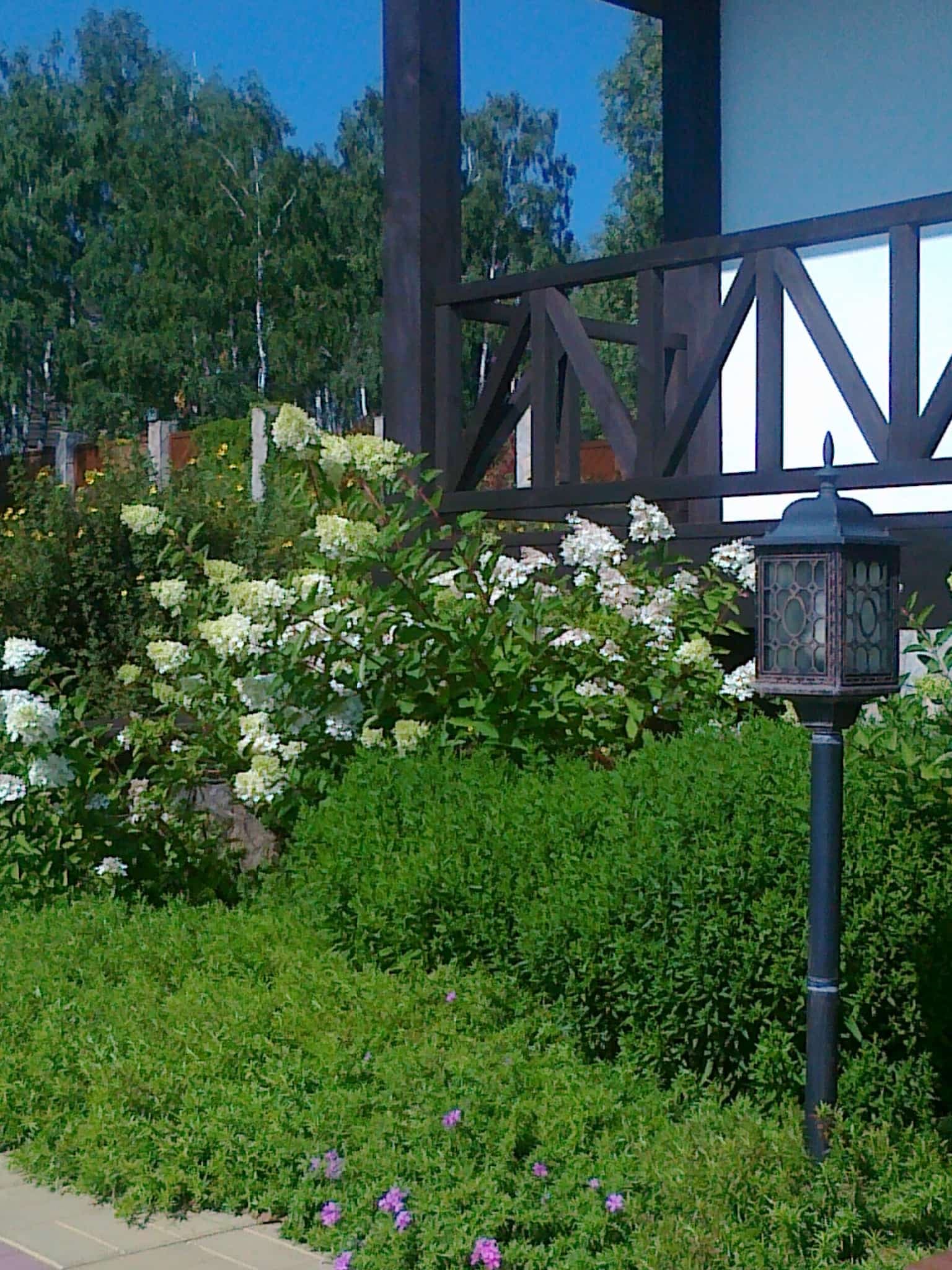 Общий вид участка в разное время года