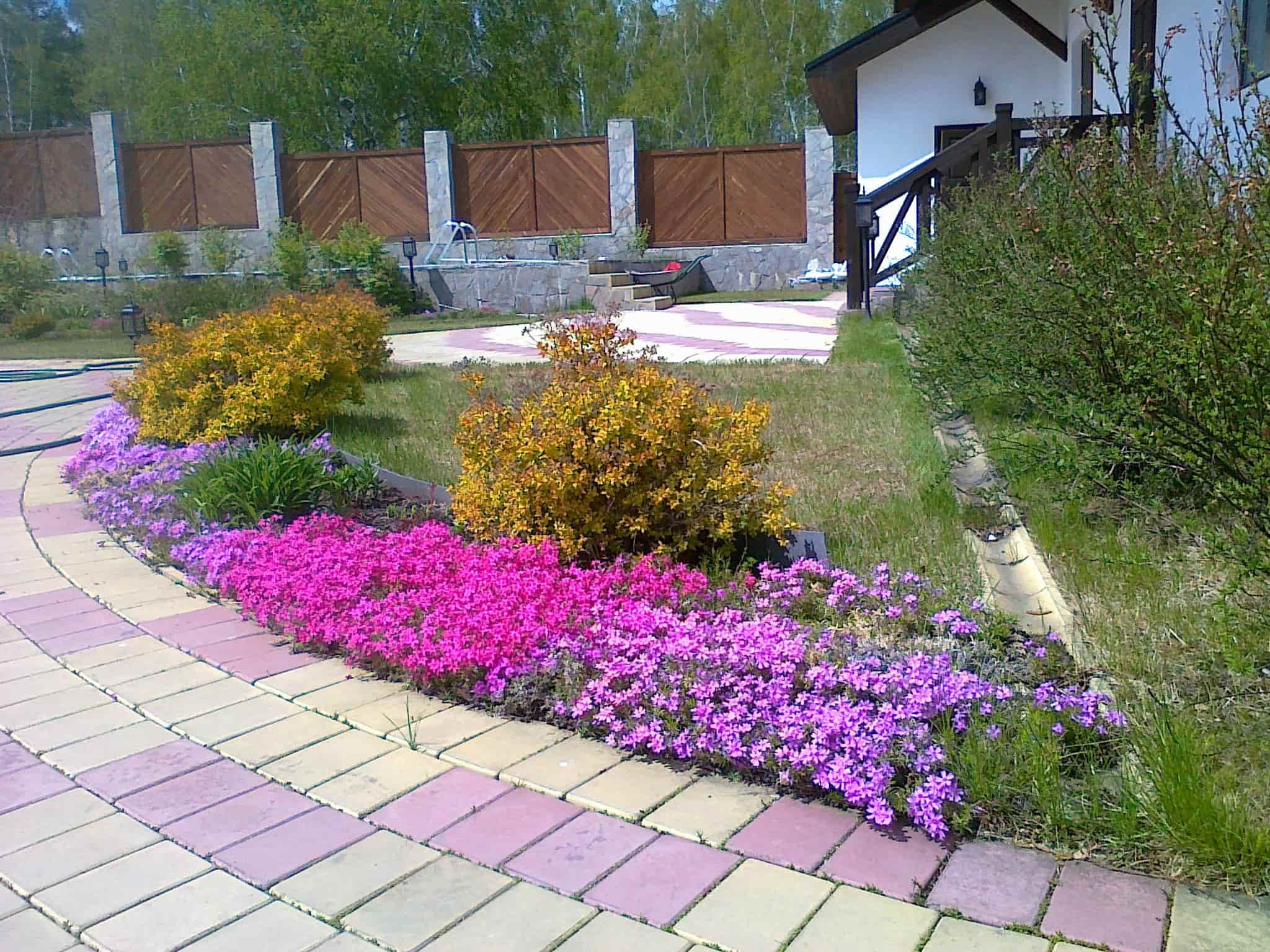 Декоративные посадки у террасы