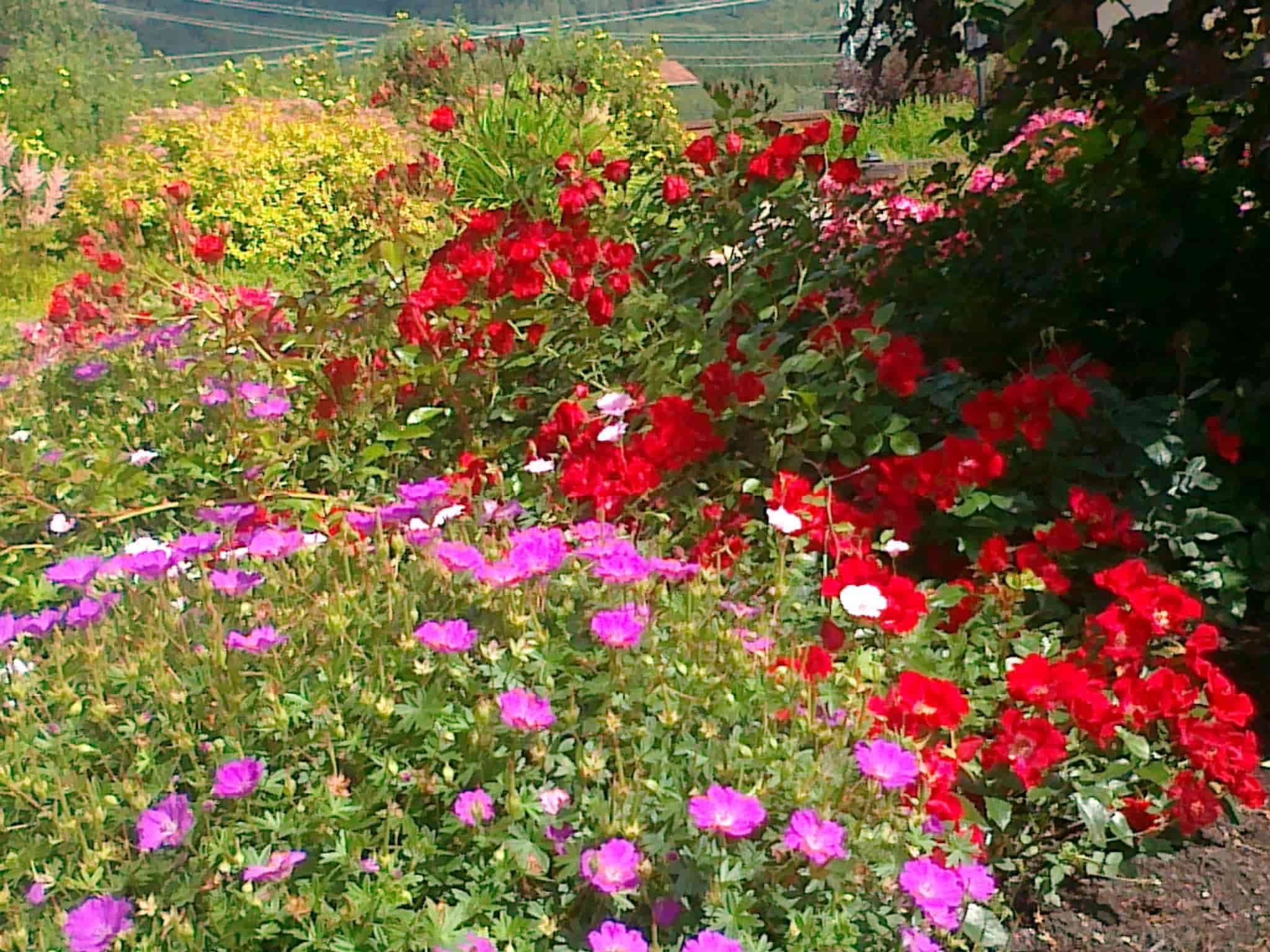 Общий вид участка в разное время года