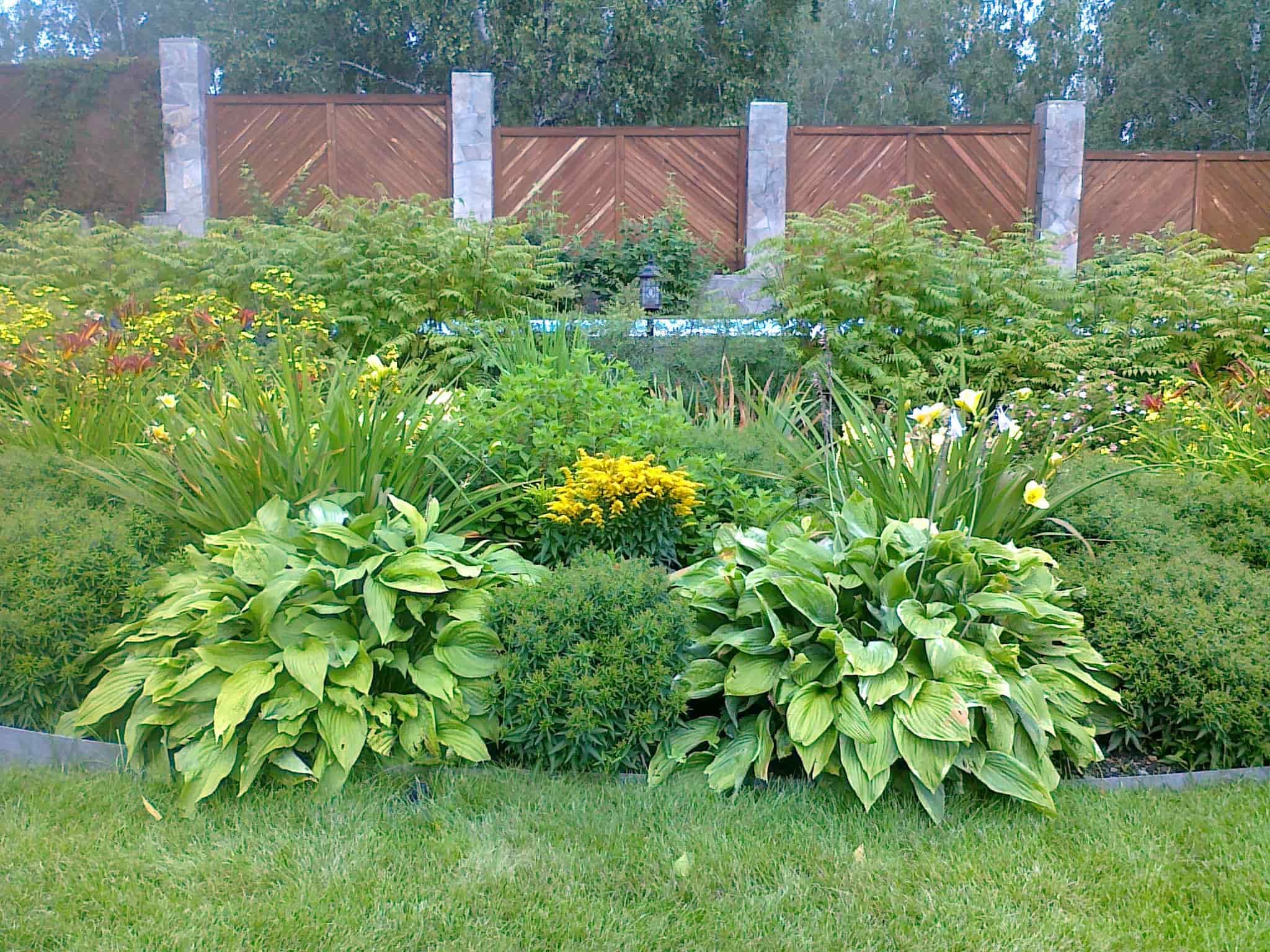 Декоративные посадки у террасы