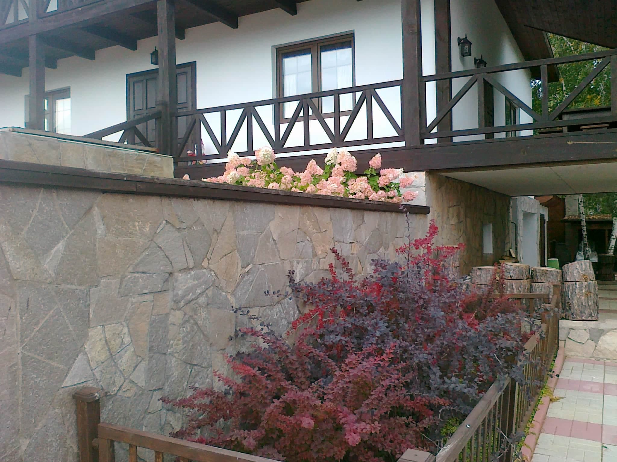 Декоративные посадки у террасы