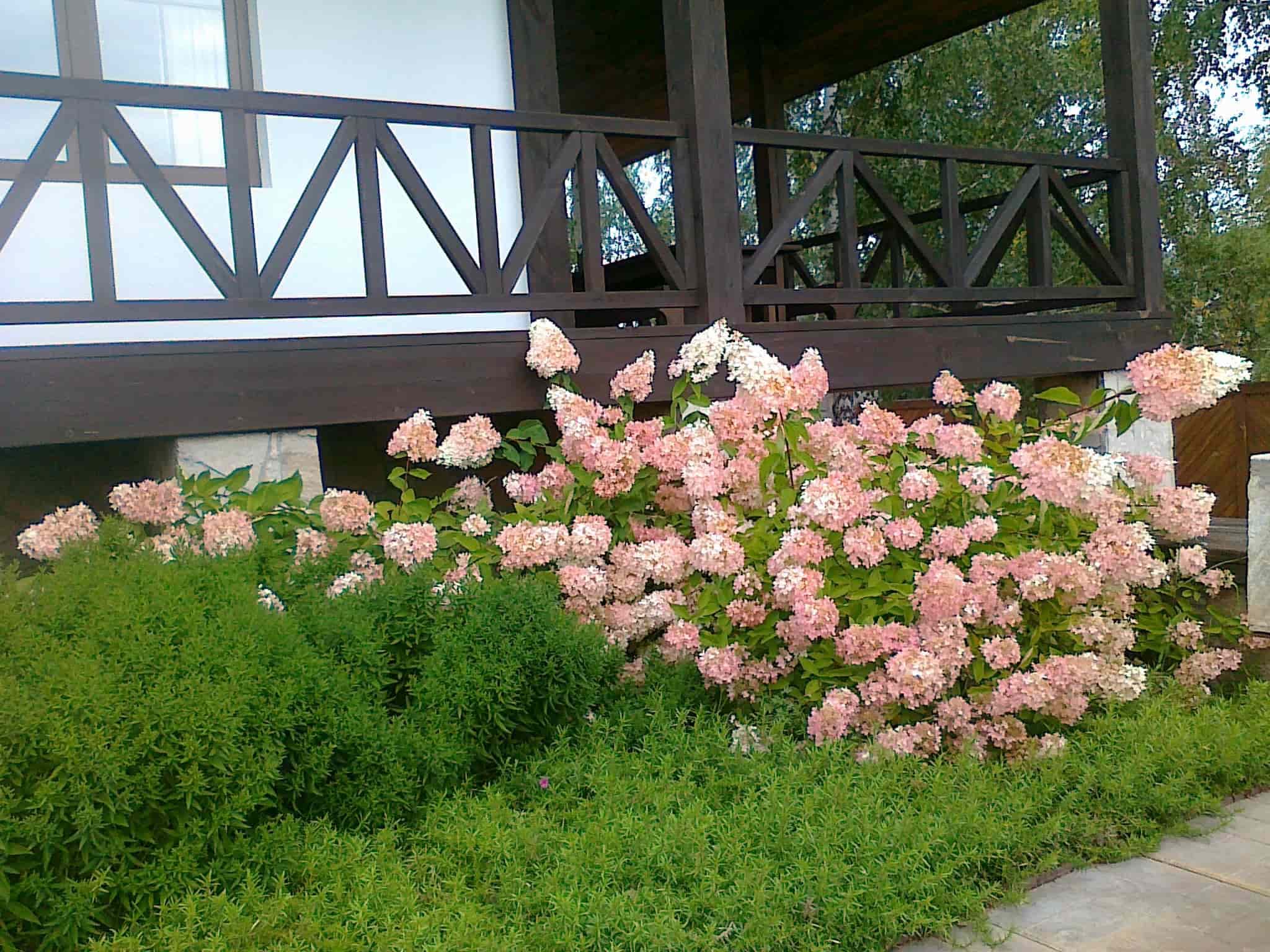 Общий вид участка в разное время года