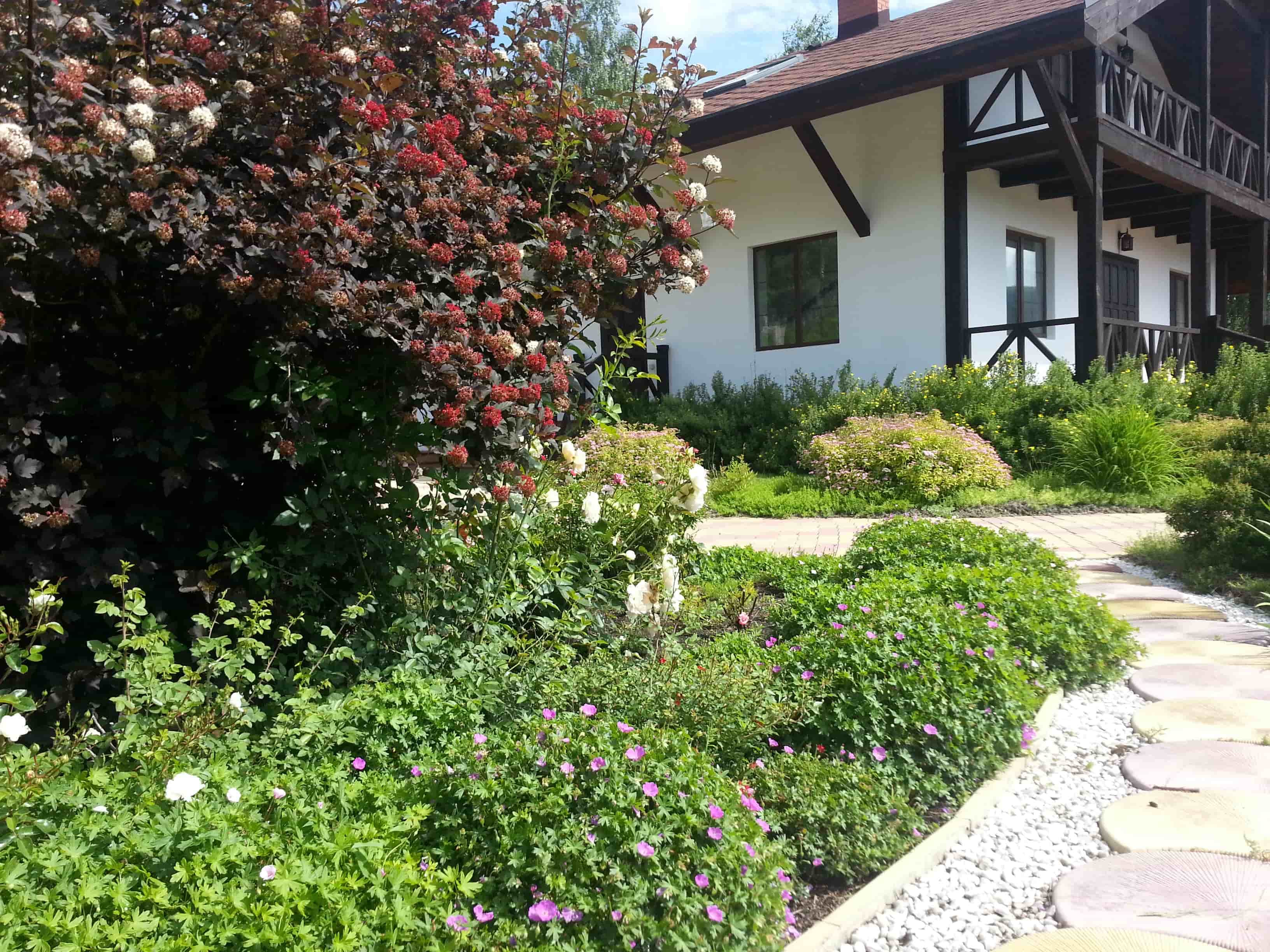 Общий вид участка в разное время года