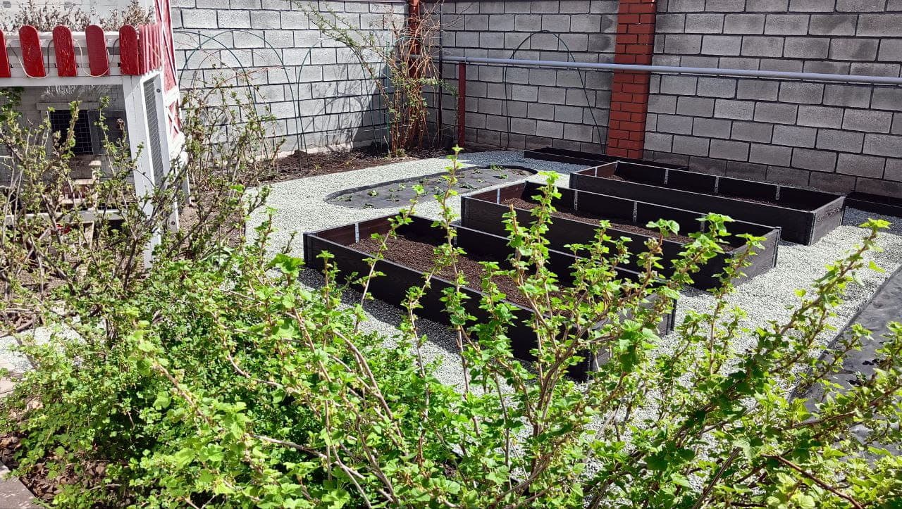 п. Звёздный. Визуализация