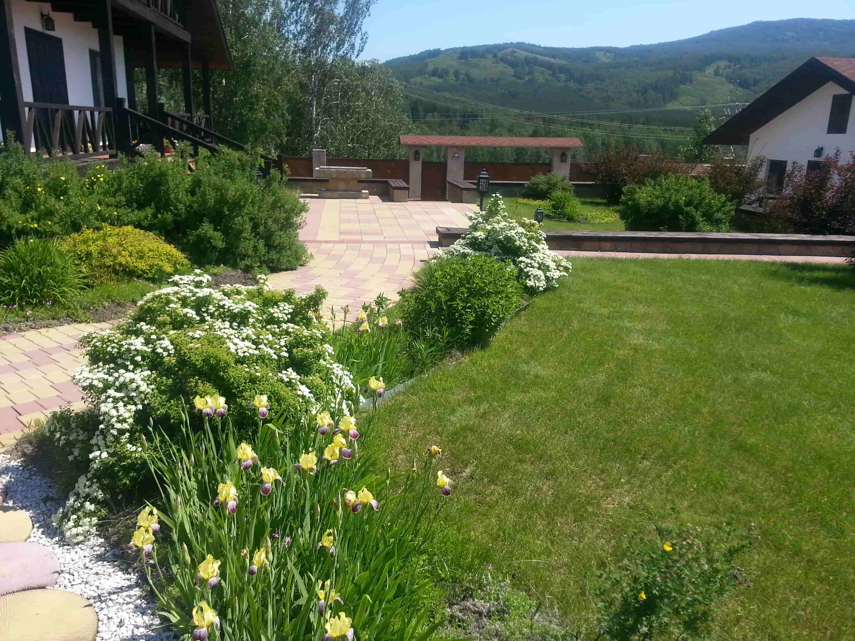 Изображение 1