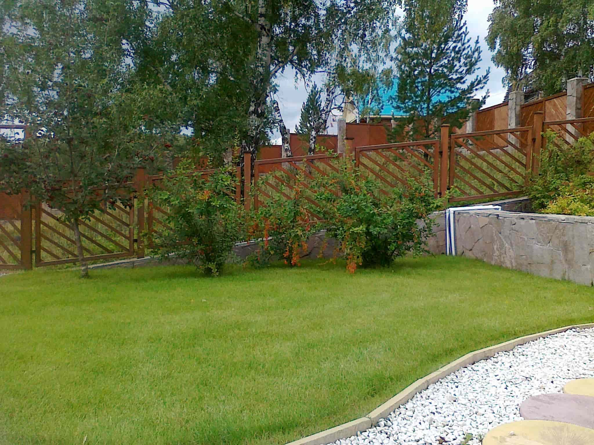 Декоративные посадки у террасы