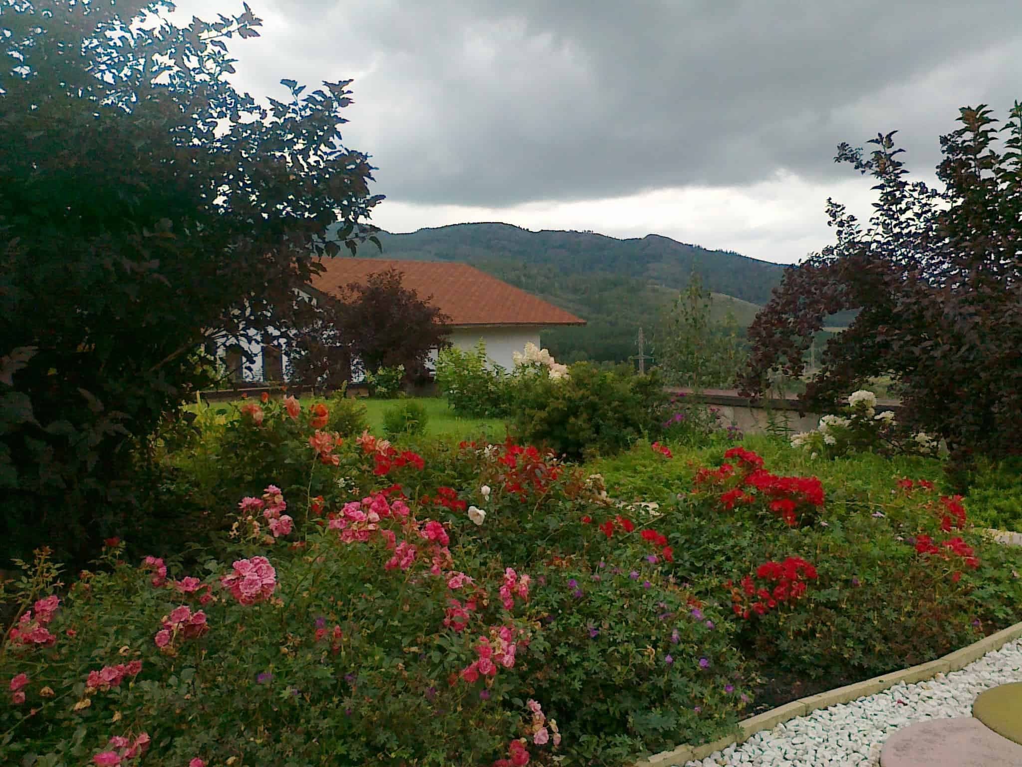 Декоративные посадки у террасы