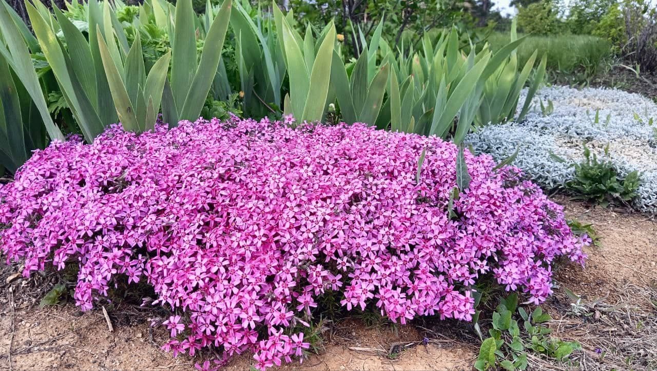 Изображение 7